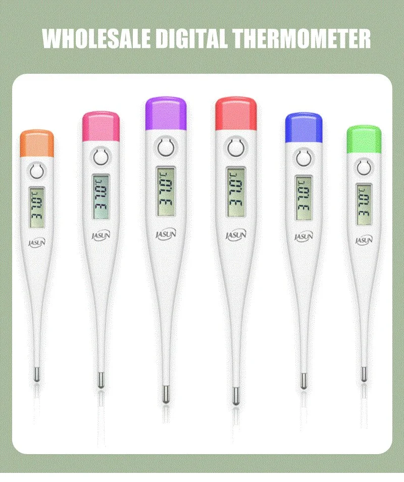 Flexible Digital Thermometer