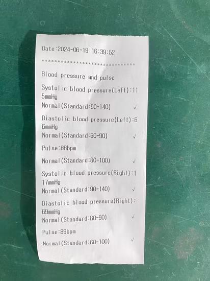 공장 가격 OEM 의료 Tensiometro 상완 디지털 혈압 모니터 CE ISO 승인 Bp 기계