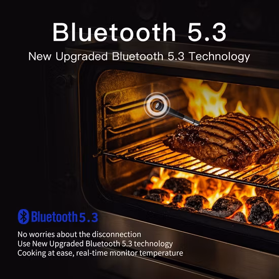 최고의 가격 방수 이중 프로브 고기 온도계 디지털 온도계 요리